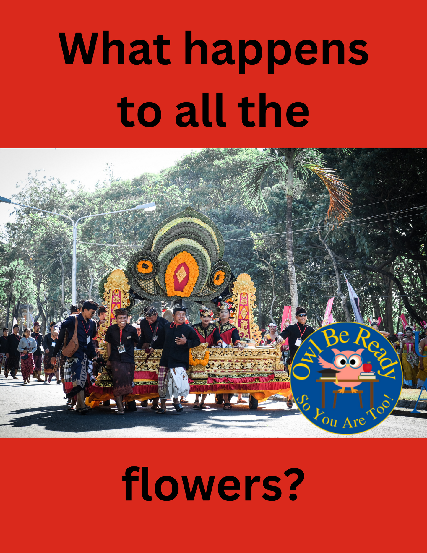 January Single Day Lesson Plan- Rose Bowl Parade
