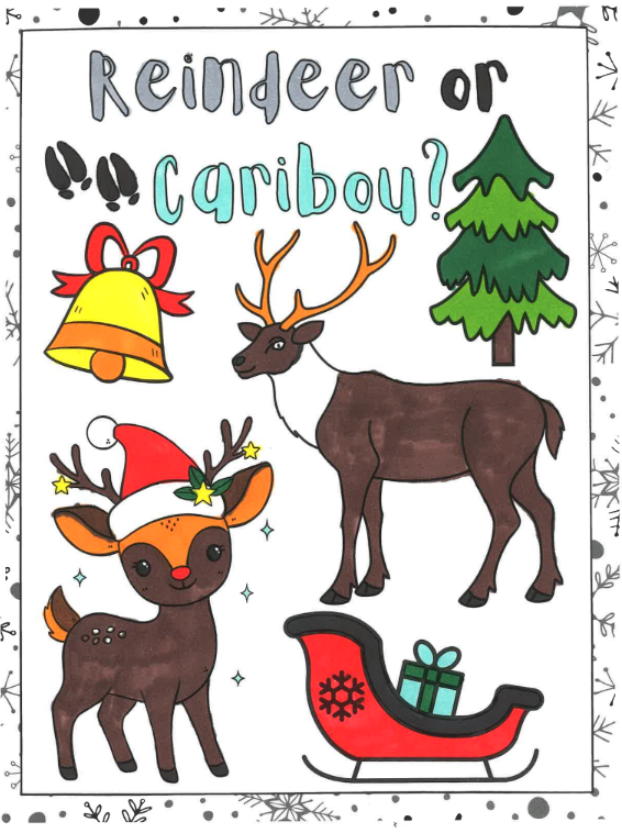Reindeer vs. Caribou